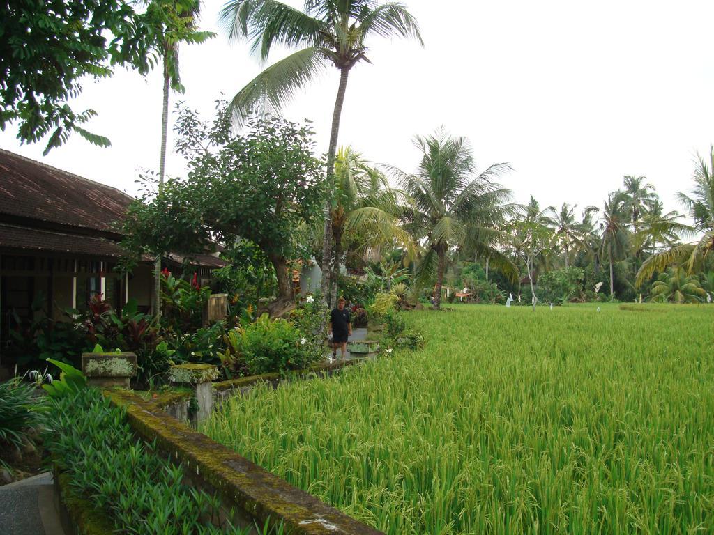 Anini Raka Resort & Spa Ubud Extérieur photo